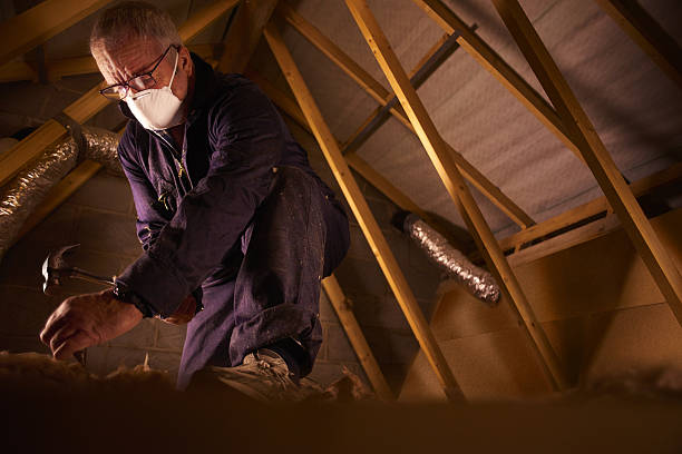 Best Eco-Friendly Insulation in Athens, OH